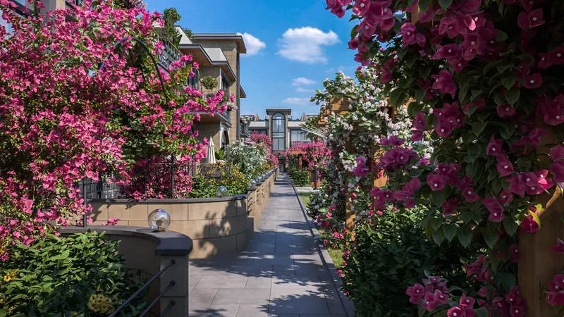 A paved walkway between the blocks lined with pink bougainvillea and timber pergolas